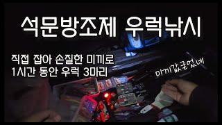 직접 손질한 미끼로 1시간 동안 우럭 3마리 서해낚시 (그런데 첫째 아들을 곁들인)