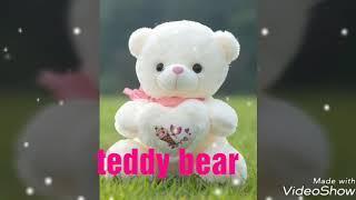 Teddy bear day status video