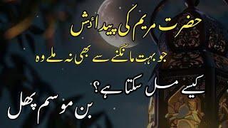 Hazrat Maryam Ki Paidaish|HazratZakariya علیہ السلام Ki Dua|Islamic motivational video|