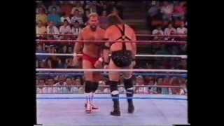 Demolition Vs Brain Busters - Tag Title Match