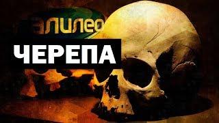 Галилео. Черепа  Skulls