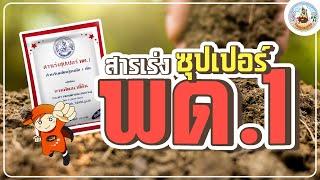 สารเร่งซุปเปอร์ พด.1 ยกทัพจุลินทรีย์ ผลิตปุ๋ยซุปเปอร์ดี ไร้เคมี เพิ่มปีประหยัดทุน