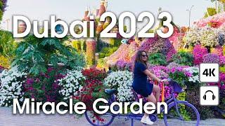 Dubai  Miracle Garden [ 4K ] Walking tour