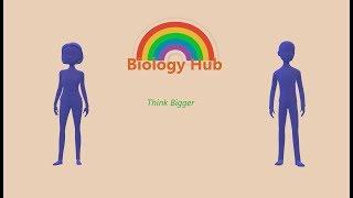 Introducing - Biology Hub | The Best Way of Explanation For class 9th to 12th