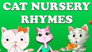 Cat Nursery Rhymes Collection | Animation Songs For Children