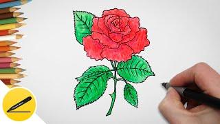 Drawing a rose - How to draw a rose step by step | Learning to draw flowers