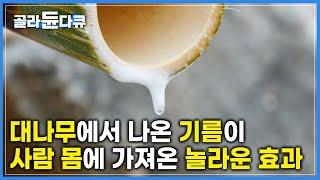 시간과 정성이 필요한 대나무 기름 '죽력' 제조 과정 | 전통 방식 그대로 만드는 죽력 | 극한직업 | #골라듄다큐