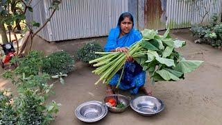 আজ অনেক দিন পর ইলিশ মাছের মাথা দিয়ে কচুর শাক রান্না করলাম | Bangali Satyle Kachur Shak Recipe