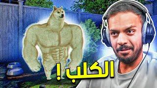 الكلب