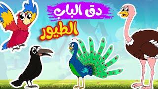 أغنية دق الباب الطيور 1 -  قناة أسرتنا