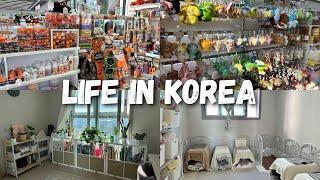 LIFE IN KOREA  Daiso Shopping + Apartment Update ️