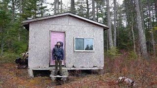 Overnight in an Abandoned Cabin / Roof Repairs and Ladder Build