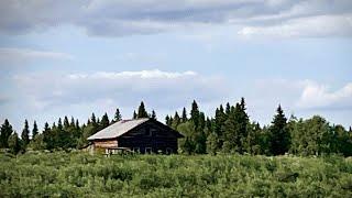 Зашли в избу и ахнули/ Заброшенный дом у таежной речки/ Поход по северной реке