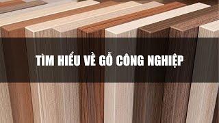 HỌC THIẾT KẾ NỘI THẤT CHO NGƯỜI MỚI BẮT ĐẦU - TÌM HIỂU VẬT LIỆU GỖ CÔNG NGHIỆP