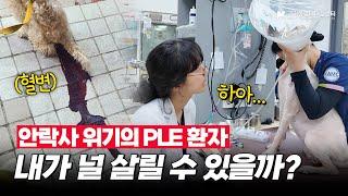 죽음의 문턱 앞 지니와 난치성 장질환센터의 이야기 #PLE #단백소실성장병증 #동물병원 #장질환
