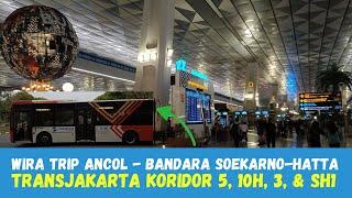 TIPS Cara ke Bandara Soekarno Hatta dari Ancol || TransJakarta Koridor 5 - 10H - 3 - SH1