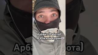 Работа в Южной Кореи#корея #южнаякорея #работавкорее #сеул #работа #арбайт #жизньвкорее #деньги