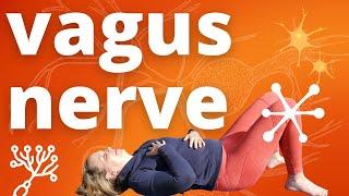 Vagus Nerve Massage for Anxiety and Stress Relief