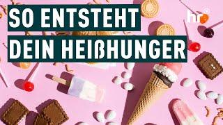 Was bedeutet mein Heißhunger? | Die Ratgeber