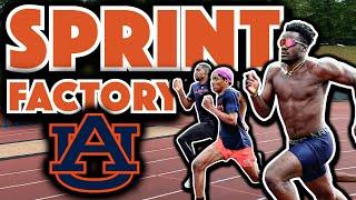 Auburn’s Sprint Factory: 100m & 200m Workouts