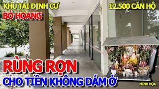 QUÁ RÙNG RỢN - CHO TIỀN "KHÔNG DÁM Ở ĐÂY" HÀNG NGÀN CHUNG CƯ BỎ HOANG XUỐNG CẤP KHU ĐẤT VÀNG QUẬN 2