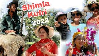 Kufri, Shimla | Shimla Tour | Kufri | Shimla,With Baby Rehansh 2022