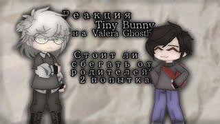 Реакция Tiny Bunny на Valera Ghosther. Стоит ли сбегать от родителей? 2 попытка! [ветка изгоя.]