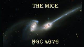 HAVE YOU EVER SEEN MICE IN THE SKY?  LET'S OBSERVE NGC 4676