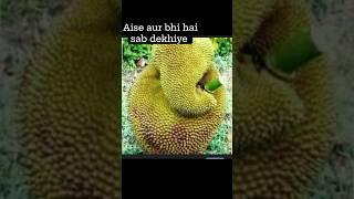 ab ise log khayenge ya puja karenge pata nhi #shorts #youtubeshort video #rupali queen #blog 