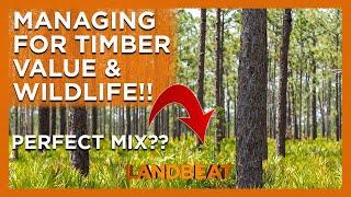 Balancing Wildlife Habitat   & Timber Production 