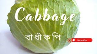 বাধাঁকপির রোল/Do you have cabbage at home?/Cabbage Rolls Recipe.