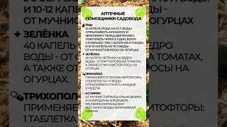 ЛУЧШИЕ аптечные средства ДЛЯ ВАШЕГО ОГОРОДА! #сад #огород #сорняки