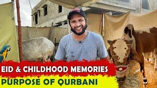 EID & childhood memories | purpose of qurbani | Shahid Afridi