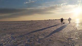 САМАЯ ЛУЧШАЯ ЗИМНЯЯ РЫБАЛКА. ЛОВЛЯ ТАРАНИ НА ЦИМЛЯНСКОМ ВОДОХРАНИЛИЩЕ!