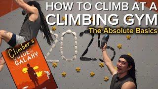 How To Climb at a Climbing Gym: 5 Tips You Should Know