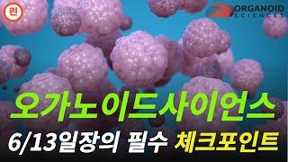 [오가노이드사이언스 분석] 주가 반등할 수 있을까??? #오가노이드사이언스