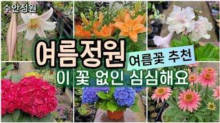 여름 정원을 살리는 노지월동 다년생 야생화 추천 #수안정원