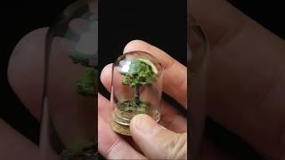 Tiny tree   #tinythings #minithings #miniature #minimaker #diorama #dioramacreators #miniatures