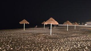 Why Alkhobar Is The Most Beautiful City Visit Stunning [Sandy beach] Life in SaudiArab