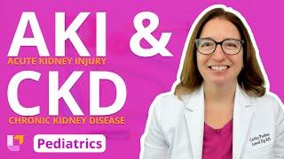 Acute Kidney Injury (AKI) & Chronic Kidney Disease (CKD) - Pediatric Nursing | @LevelUpRN