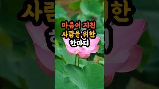 마음이 지친 사람을 위한 한마디 |부처님말씀| 마음공부 | 불교명언 | 삶의지혜|인생조언 | 좋은글|
