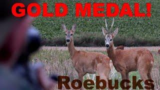 on gold medal roebucks with TTA hunting trips - Hunter Brothers