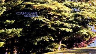 camslave - in the sky
