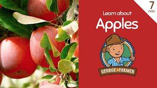 Apples with George the Farmer