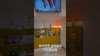 도넛 맛집이라기 보다는 케이크 맛집?? 노티드 청담점 knotted donuts / korean street food