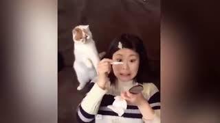 Putting Middle Finger in Front of Your Pet's Face   Pets Kingdom