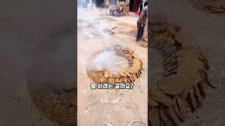 할아버지가 소똥 태우며 만드는 충격적인 물건