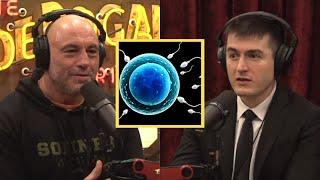 Joe Rogan & Lex Fridman: How much is plastic reducing your sperm count?