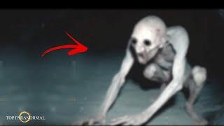 5 Mysterious and Disturbing Scary Videos / REAL TERROR / Part 8 / Ghosts and Creatures 2024