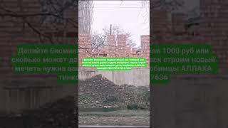 Аллах ####хадис #образование #дуа #религия